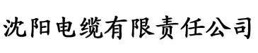 国内外一级毛片电缆厂logo